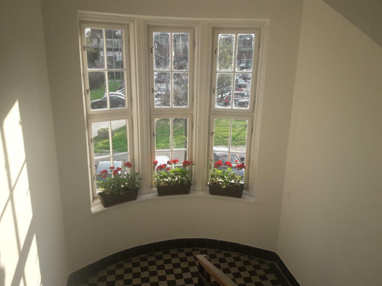 Apartment Lea Lux بلغراد المظهر الخارجي الصورة